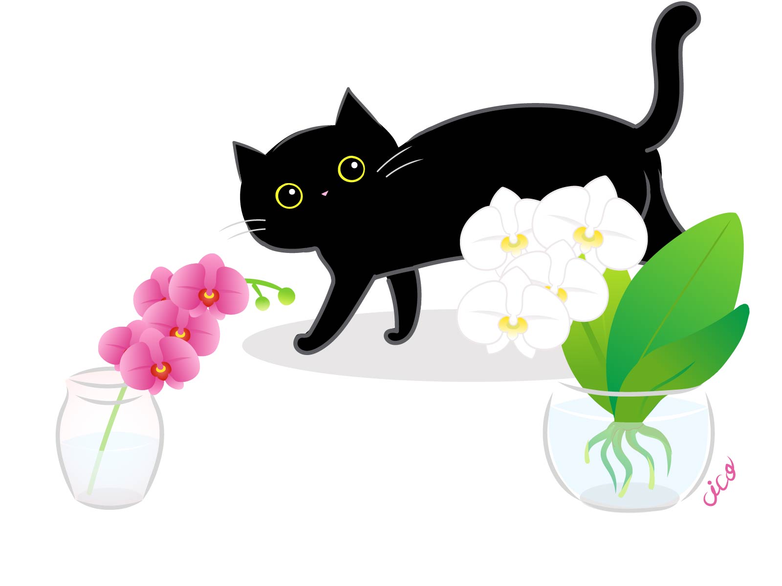 イラスト猫と胡蝶蘭