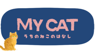 うちのねこのはなし