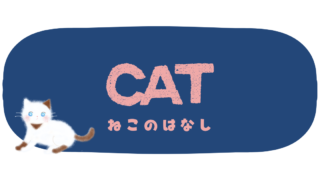 ねこのはなし