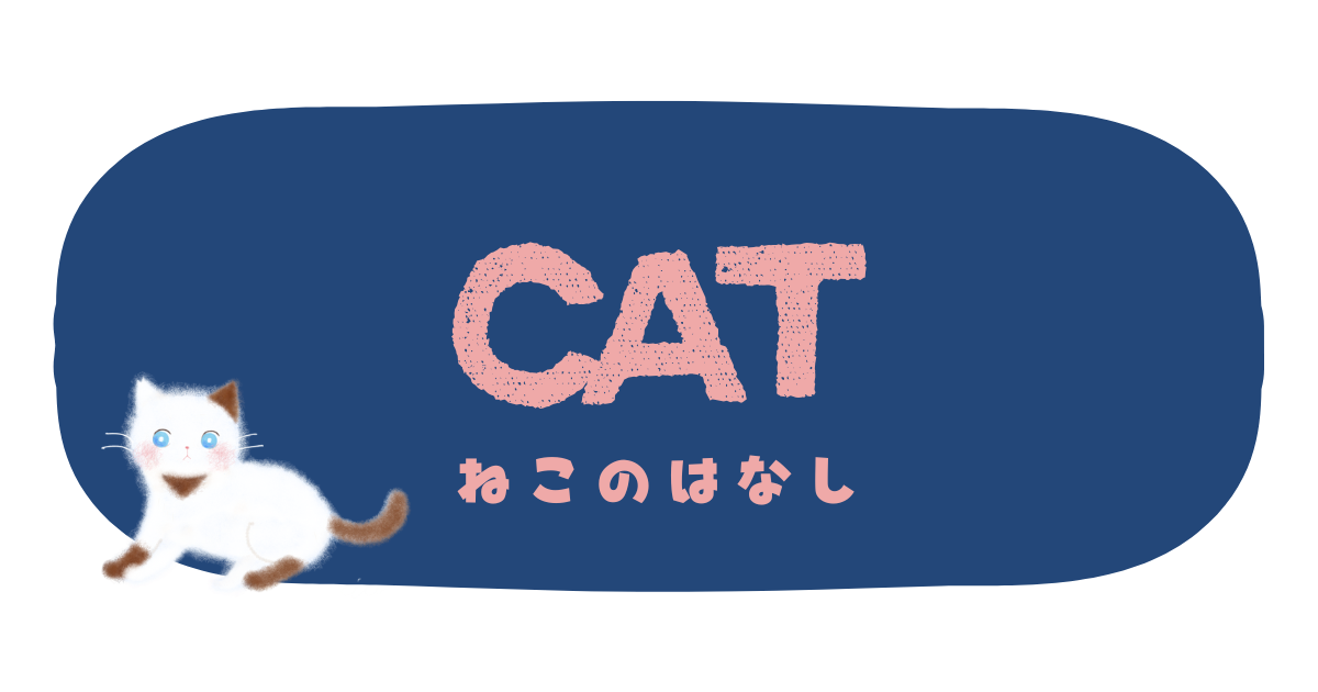 ねこのはなし